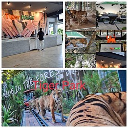 Tiger park pattaya